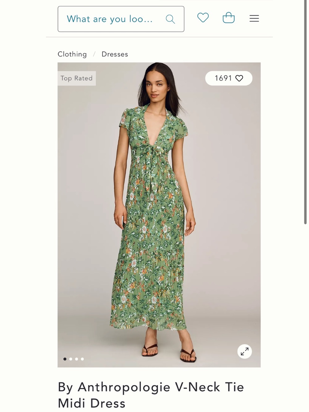 Anthropologie Green Floral Halter Maxi Dress